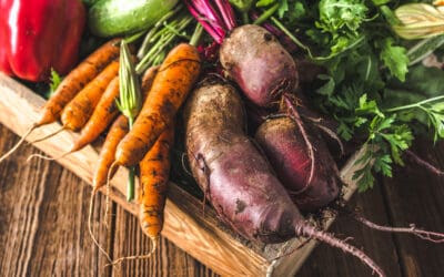 March 6: A Simple Approach to a Plant Based Lifestyle
