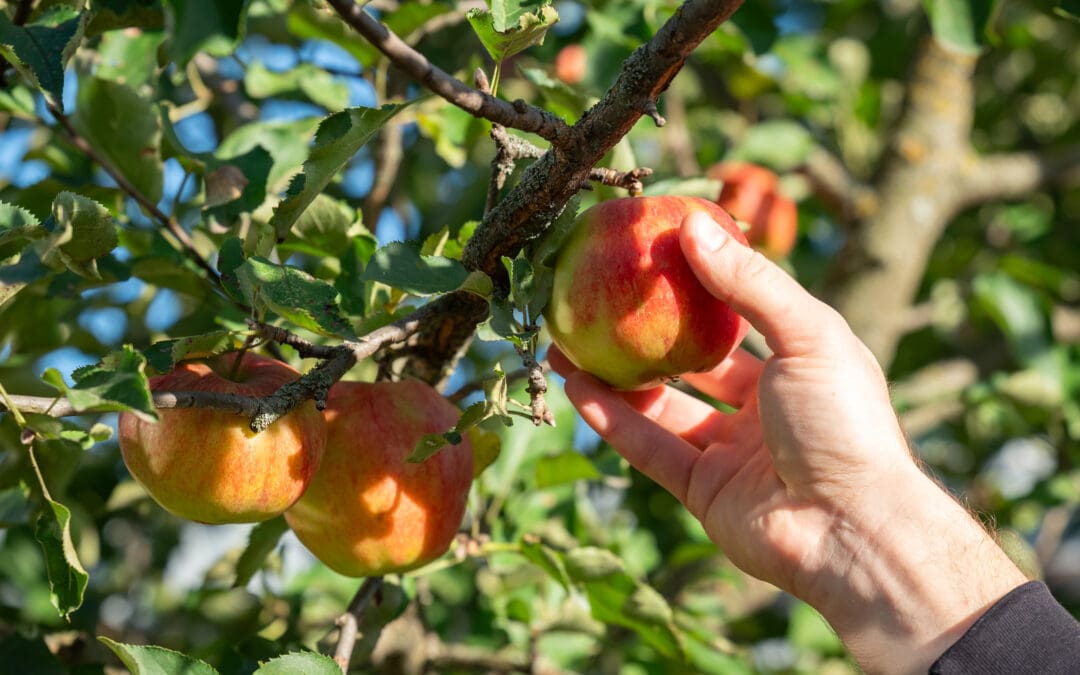 October 2: Nourishing the Whole Family